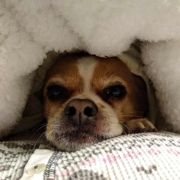 Meet your Posher, Beth - Picture 10 of 13